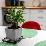Apartment Darja *